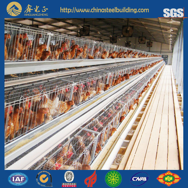 Poultry House&Chicken House&Poultry Farm