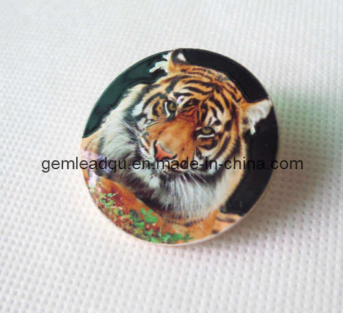Porcelain Colored Enamel Label Pin, 3D Pin Badge (003)