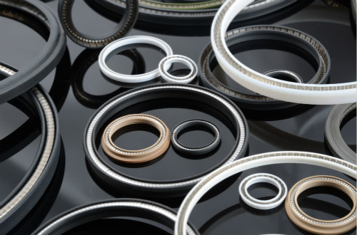 Plastic Seal/PTFE Seals with Resistance to Harsh Mediums for Sealing