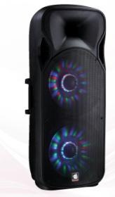 2X15'' 2-Way Plastic Active Speaker PS-32215bbt