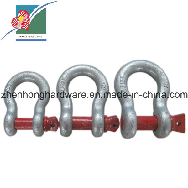 D Type Shackles Hardware Products for Household Shackle