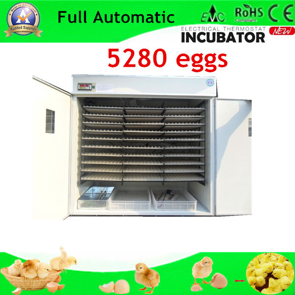Best Selling Cheapest Digital Incubator for Chicken Eggs (WQ-5280)