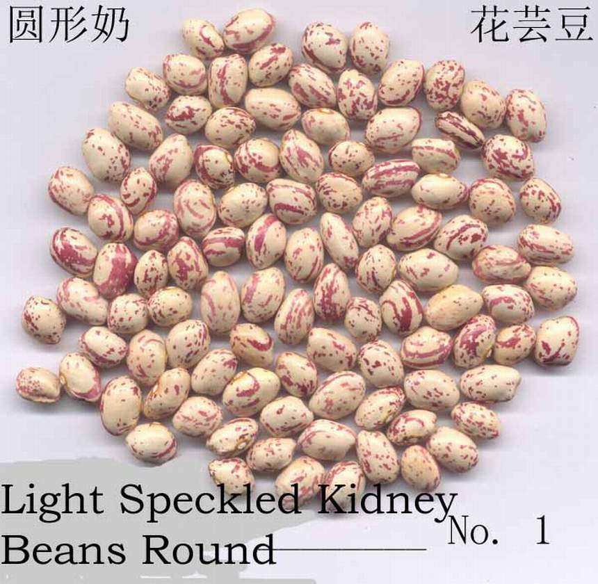 Light Speckled Kidney Beans - Round Shape