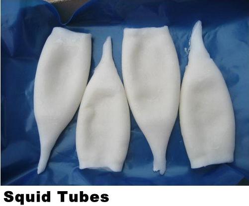 U5 Frozen Squid Tube