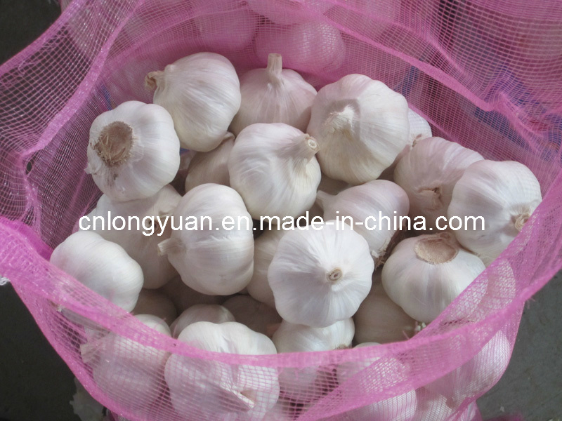 2015 New Crop Fresh White Garlic