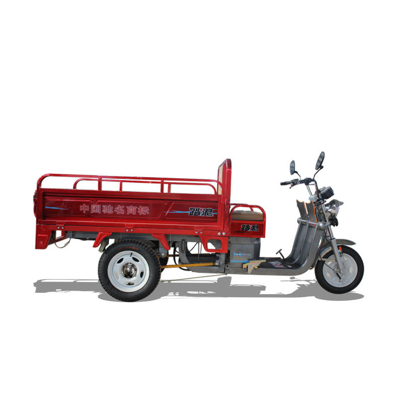 Strong Power Cargo Electric Tricycle