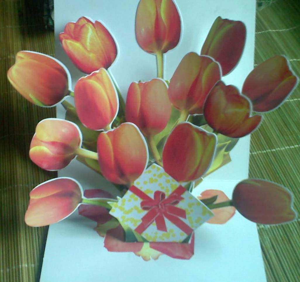 Holidays Greeting Card Sample Cutting Plotter