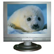 Computer TFT LCD Monitor