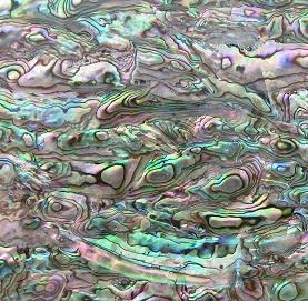 Abalone Shell Paper Paua Shell Laminate (SSPV-002)