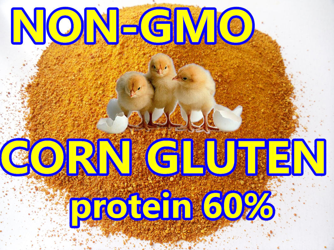 Corn Gluten for Animal Feed