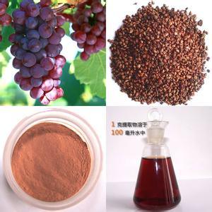Factory Grape Seed Extract 95% Polyphenols-OPC