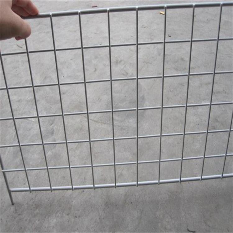 Welded Wire Mesh -- Liang You