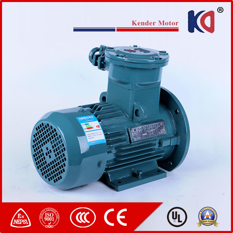 Ex-Proof Electric AC Asynchronous Motor