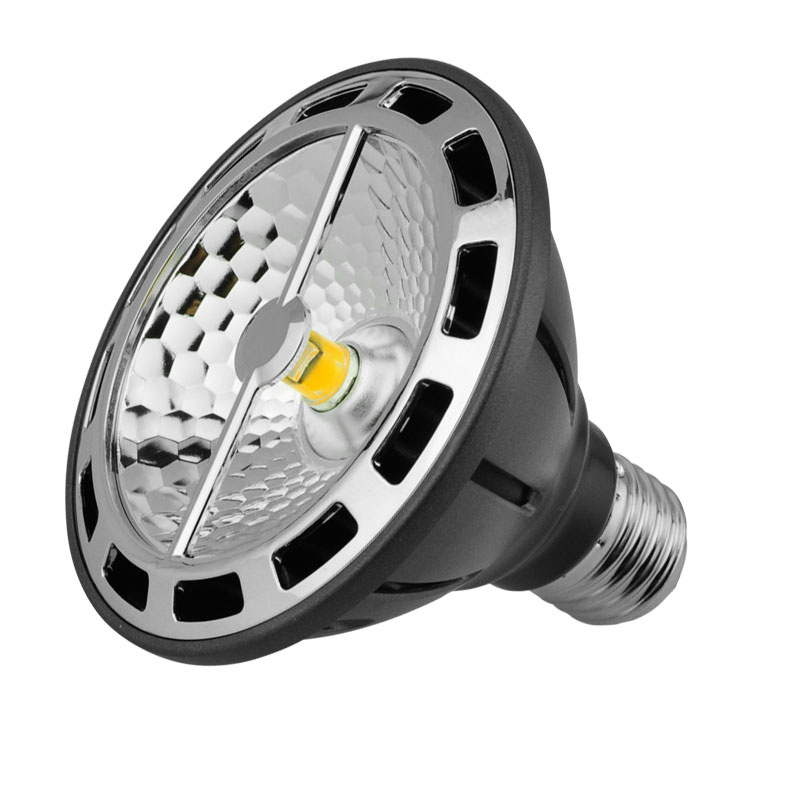 Standard Size 75W Halogen PAR30 Replacement 15W LED PAR30