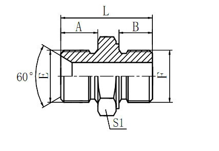 Hydraulic Fitting 1BL