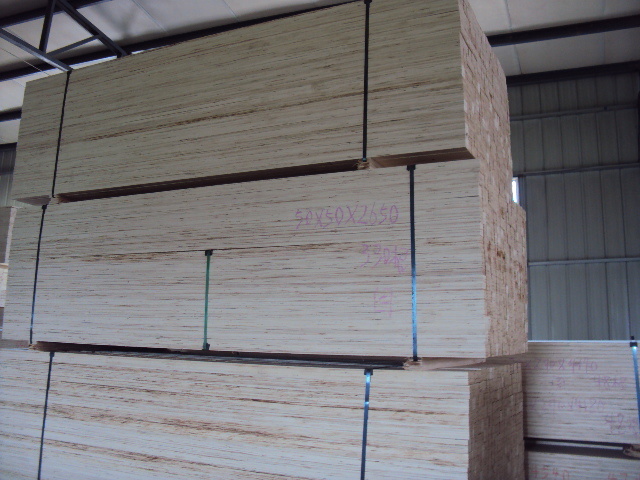 Poplar LVL Door Core Lumber, Furniture Grade Poplar LVL Door Core Timber