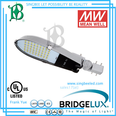Bridgelux 80W Solar LED Street Light