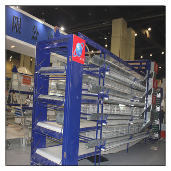 Poultry Farming Automatic Layer Cages