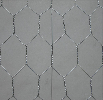 Hexagonal Wire Mesh/Chicken Wire Mesh