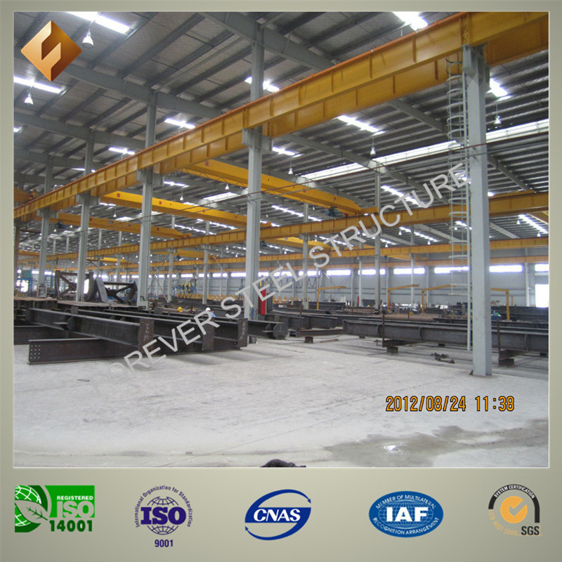Steel Structure for The Factory or Other Building