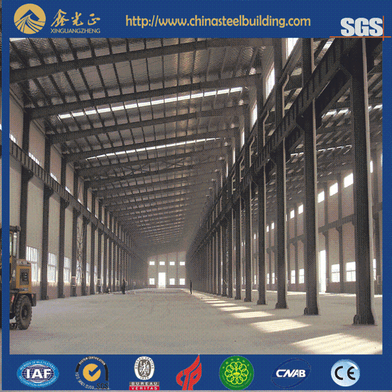 Professional Supplier on Steel Structure Buildings (JW-16270)