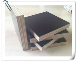Film Faced Shuttering Plywood (Factory&Export)