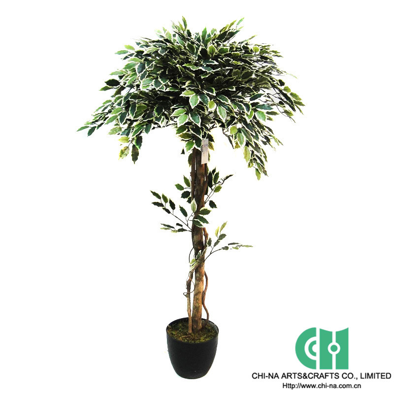 Artificial Flower, Artificial Tree, Artificial Plant (124-CH07100906)