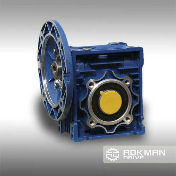 RV Series Worm Gearbox From Aokman China