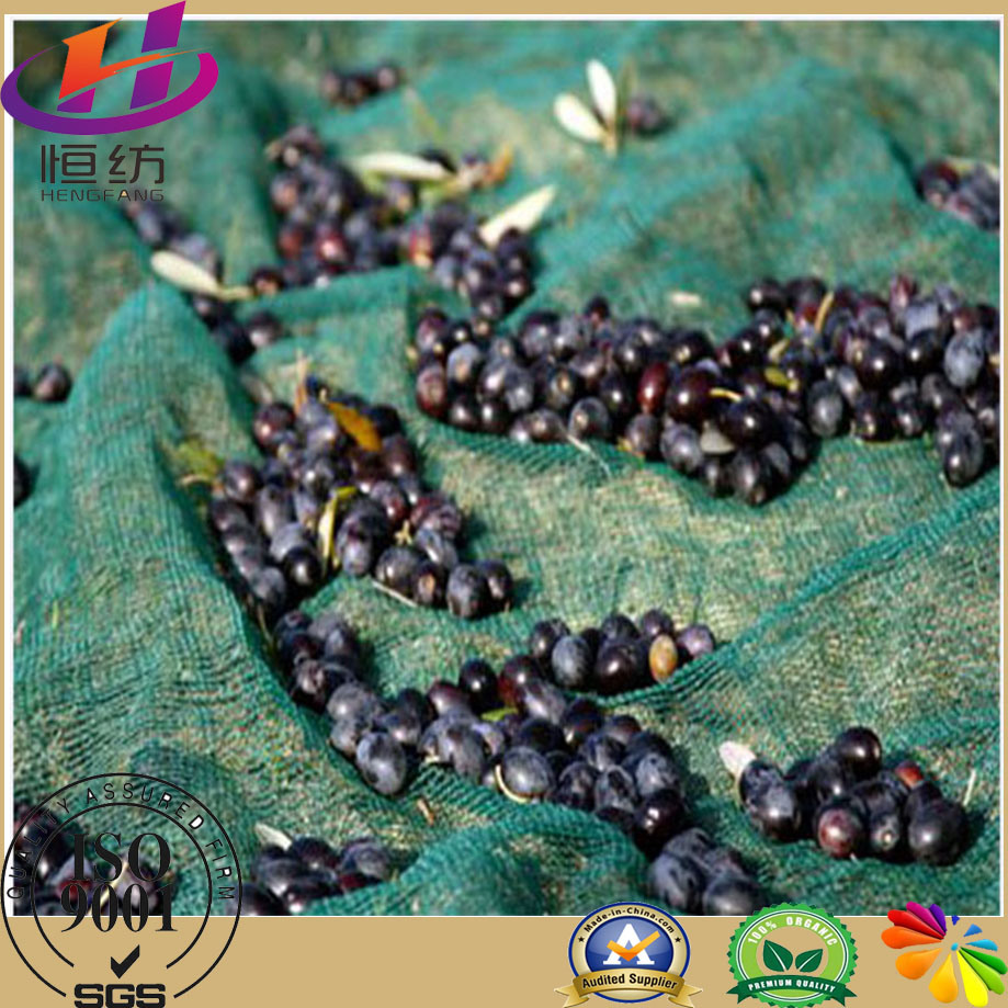 Virgin HDPE Olive Net with UV Protection