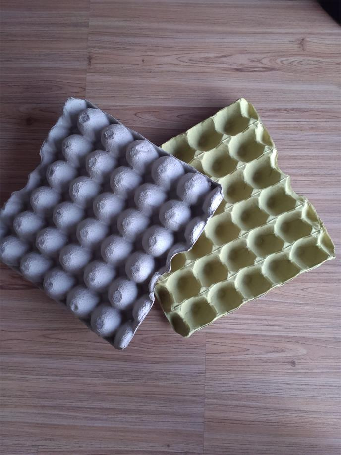 Paper Pulp Chicken Egg Tray for 30 Chicken Eggs