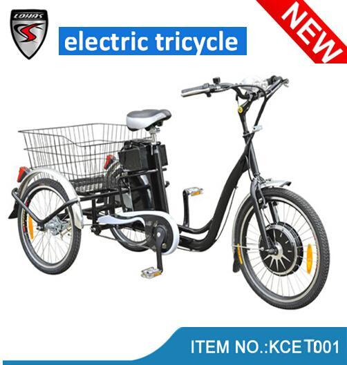 350W CE Approval Electric Tricycle