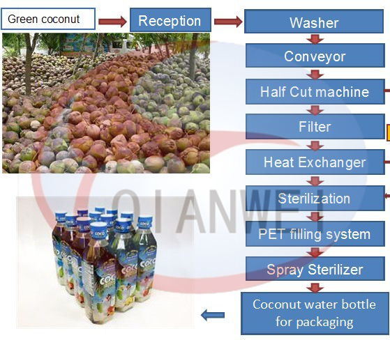 Tender Coconnut Water Process (QW-TK-CW)