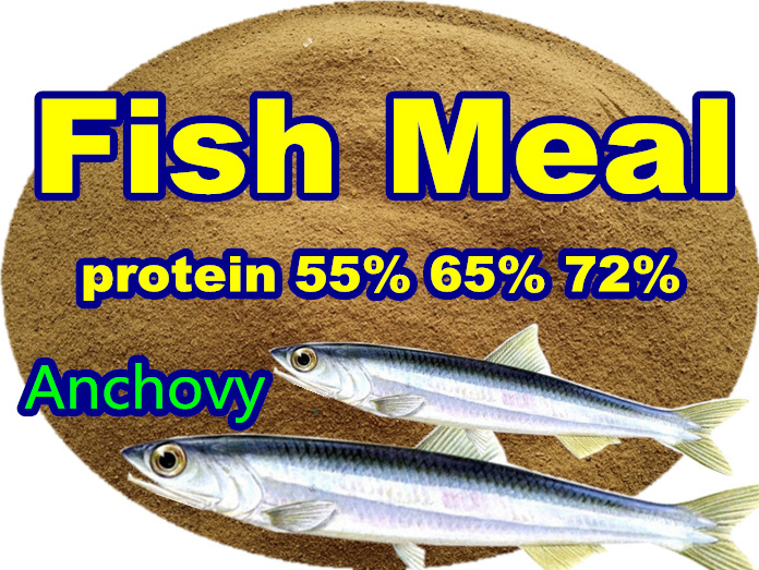 Anvhocy Fish Meal (protein 55% 65% 72%) for Tilapia