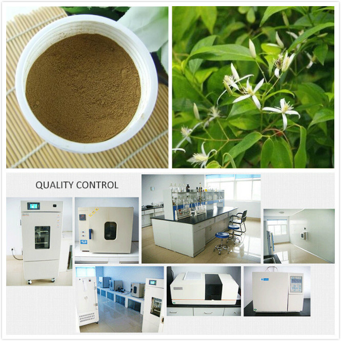Licorice Extract / (Purity≥ 98%) / Radix Glycyrrhizae (CAS: 68916-91-6)