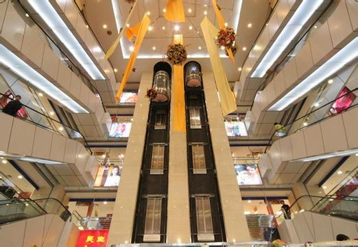 Oria Glass Elevator for Sightseeing Spacious Observation Elevator/ Sightseeing Elevator/Panoramic Elevator Sc-07
