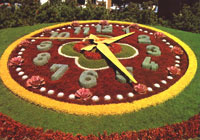 Flower Clock, Garden Clock