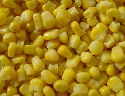 IQF Sweet Corn (SC-01)