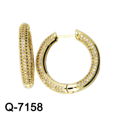 Latest Silver Plating Silver Earring Jewellery (Q-7158)