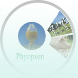 Herbal Animal Feed Additive-Phyopson