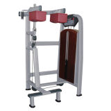 Strength Fitness Equipment-Standing Calf Raise (M5-1021)