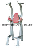 DIP & Chin Commercial Fitness/Gym Equipment with SGS/CE (PM406)