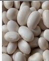 Japanese White Kidney Beans