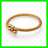 2012 Cable Stainless Steel Bracelet Jewellery (TPSBE247)