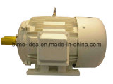 Nema Standard Design D 3PH Cast Iron Motor
