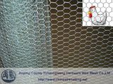 Hexagonal Poultry Netting