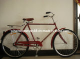 Afica Special Model Bicycle with Rear Coaster Brake (SH-TR036)