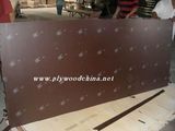 Waterproof Film Faced Plywood