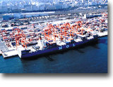 Transport Cargo by Sea to Europe&Mediterranean Sea