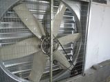 FRP Exhaust Fan