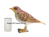 Bird Wireless Musical Doorbell, Digital Doorbell